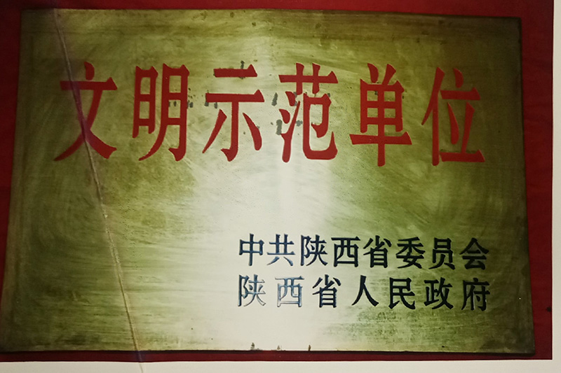 10、省級-陜西省文明示范單位.jpg